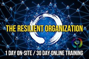 The Resilient Organization Training & Coaching Program